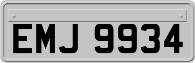 EMJ9934