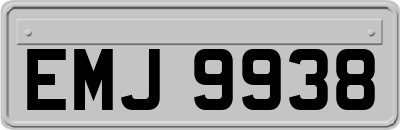 EMJ9938