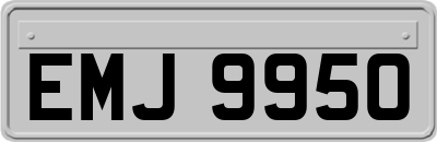EMJ9950