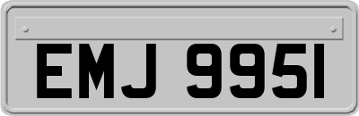 EMJ9951