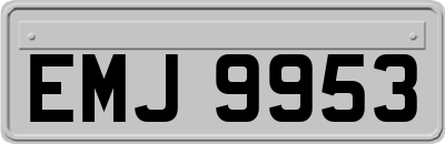 EMJ9953