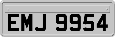 EMJ9954