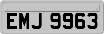 EMJ9963