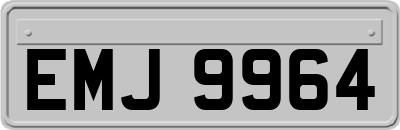 EMJ9964
