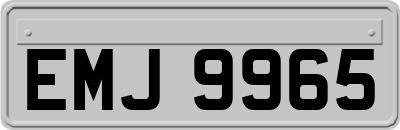 EMJ9965