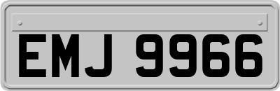 EMJ9966