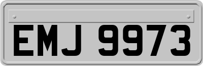 EMJ9973