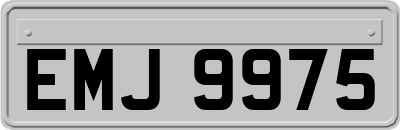 EMJ9975