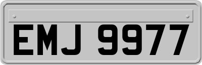 EMJ9977
