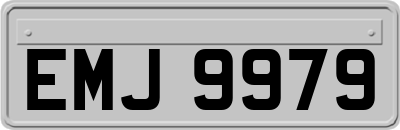 EMJ9979