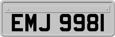 EMJ9981
