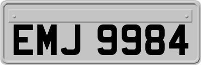 EMJ9984