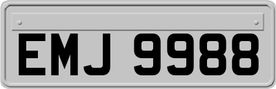 EMJ9988