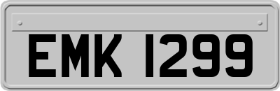 EMK1299