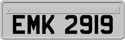 EMK2919