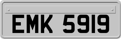 EMK5919