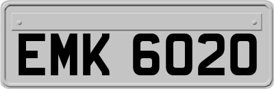 EMK6020
