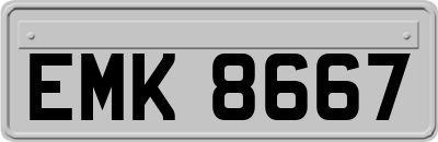 EMK8667