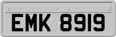 EMK8919