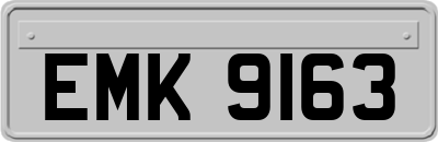 EMK9163