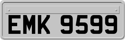 EMK9599