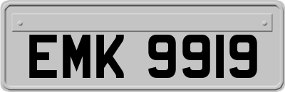 EMK9919