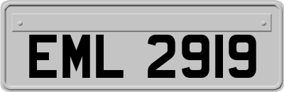 EML2919