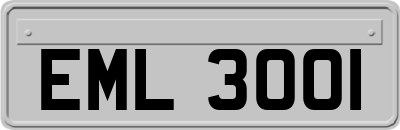 EML3001