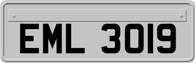 EML3019