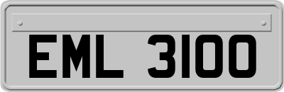 EML3100
