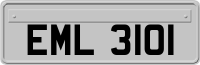 EML3101