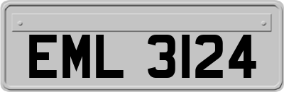 EML3124