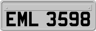 EML3598