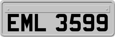 EML3599