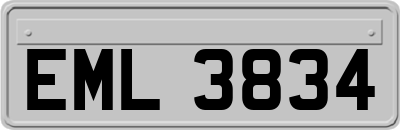 EML3834