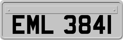 EML3841