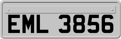 EML3856