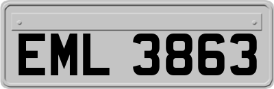 EML3863