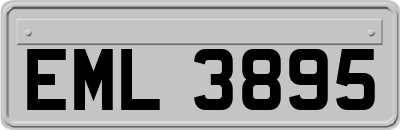EML3895