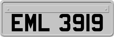 EML3919