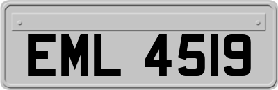EML4519