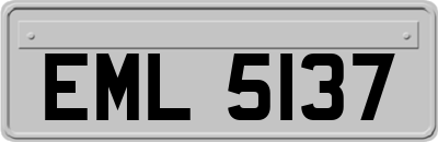 EML5137