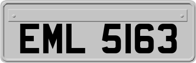 EML5163