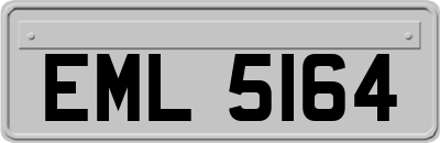 EML5164