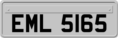 EML5165