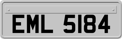 EML5184