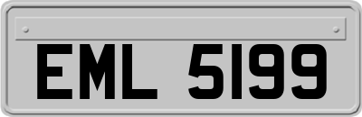 EML5199