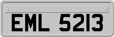 EML5213