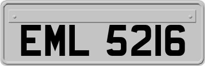 EML5216