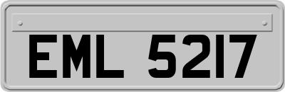 EML5217